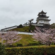 西森駿介の写真