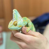 島村 皓志郎の写真
