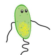 iGEM 太郎の写真