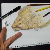 山﨑 有智の写真